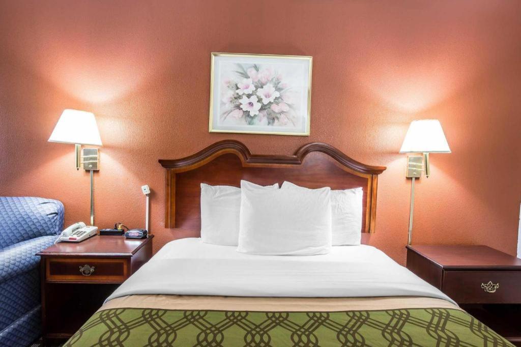 Econo Lodge South Garner Buitenkant foto